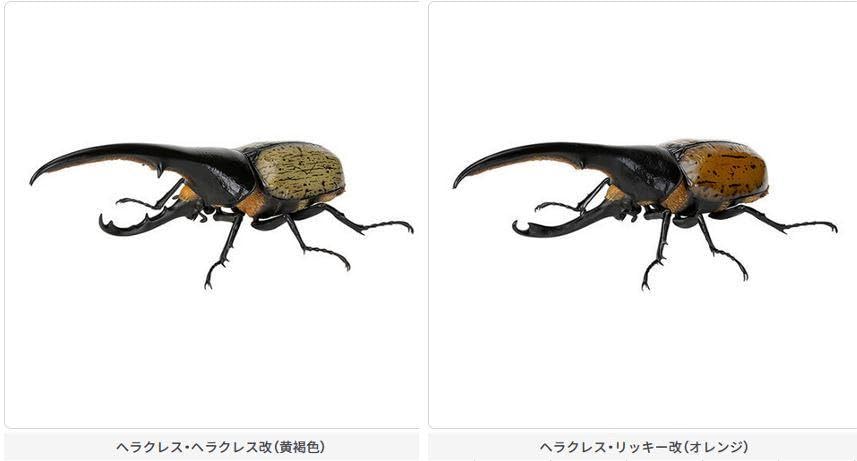 いきもの大図鑑 かぶとむし07　ヘラクレス・リッキー改（オレンジ） Amazon.co.jp: いきもの大図鑑 かぶとむし07 ヘラクレス